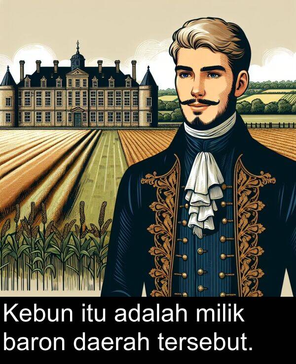 daerah: Kebun itu adalah milik baron daerah tersebut.