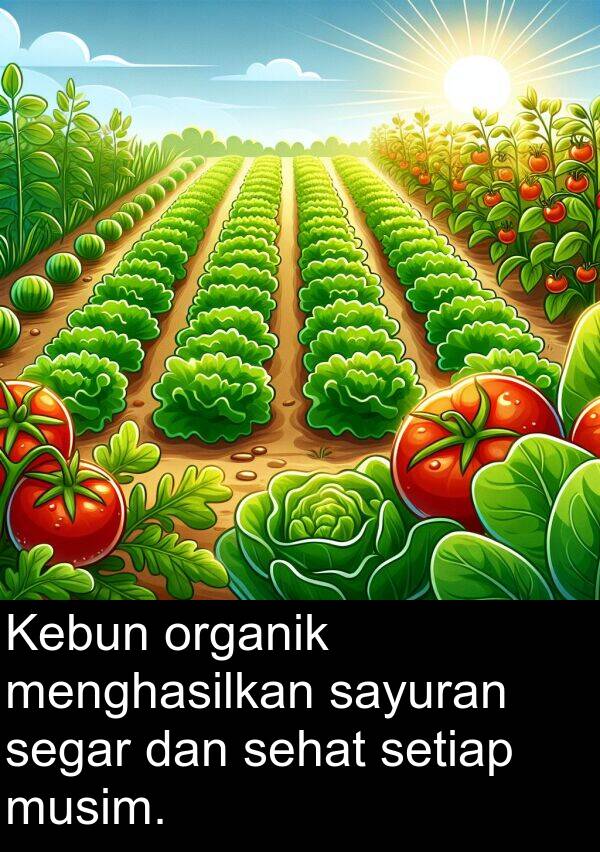 organik: Kebun organik menghasilkan sayuran segar dan sehat setiap musim.