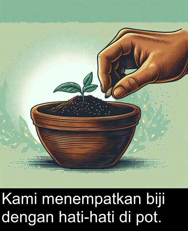 pot: Kami menempatkan biji dengan hati-hati di pot.