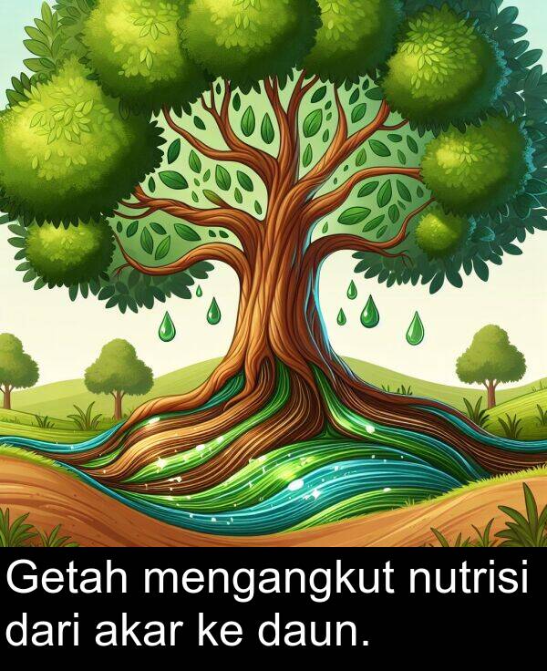 daun: Getah mengangkut nutrisi dari akar ke daun.