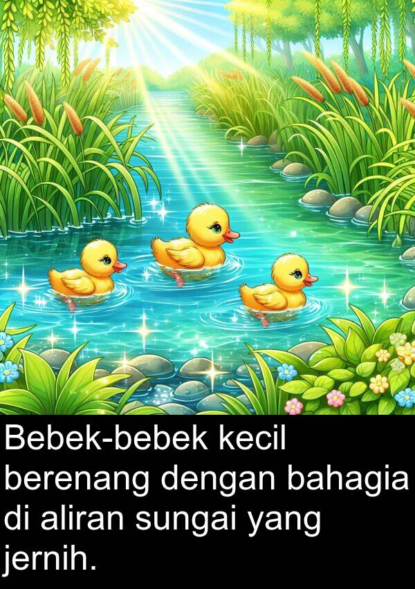 kecil: Bebek-bebek kecil berenang dengan bahagia di aliran sungai yang jernih.