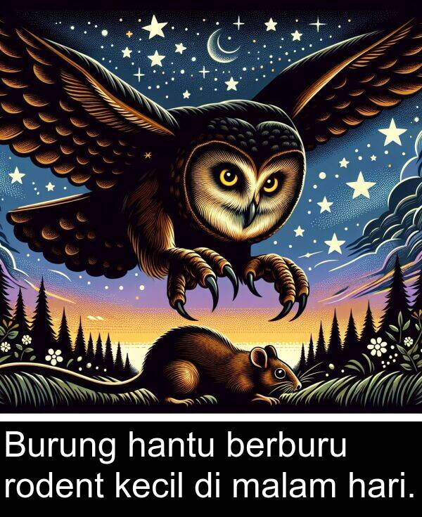 kecil: Burung hantu berburu rodent kecil di malam hari.