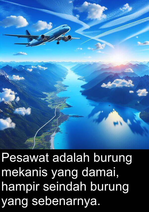 hampir: Pesawat adalah burung mekanis yang damai, hampir seindah burung yang sebenarnya.