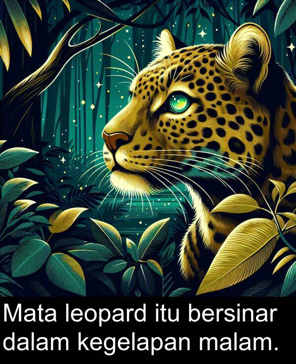 leopard: Mata leopard itu bersinar dalam kegelapan malam.