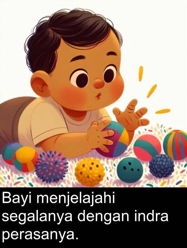 segalanya: Bayi menjelajahi segalanya dengan indra perasanya.