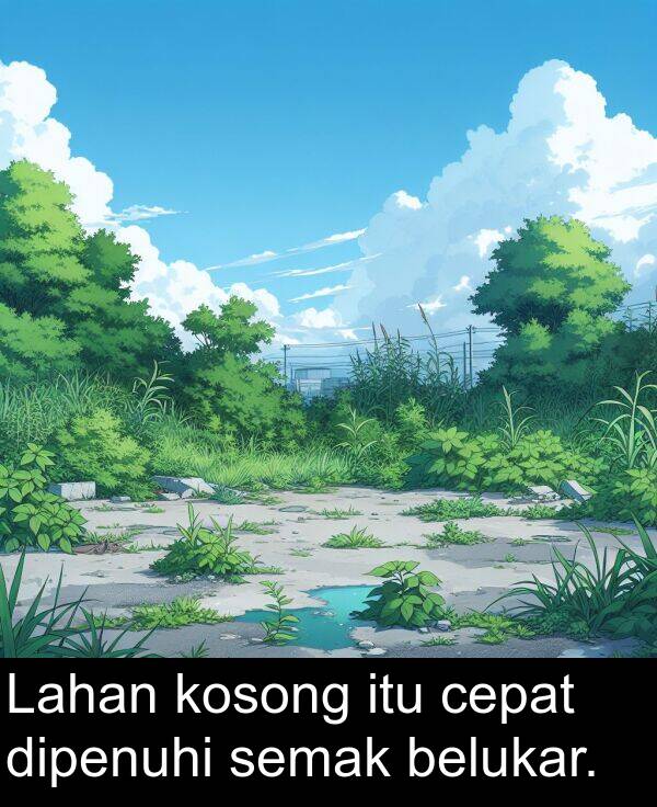 cepat: Lahan kosong itu cepat dipenuhi semak belukar.