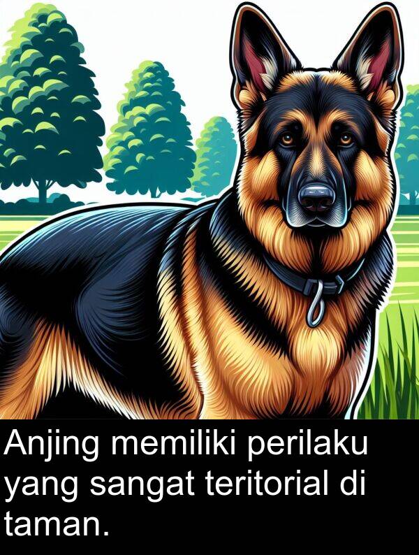 taman: Anjing memiliki perilaku yang sangat teritorial di taman.