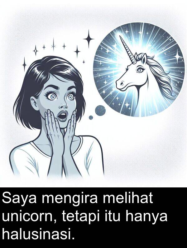 unicorn: Saya mengira melihat unicorn, tetapi itu hanya halusinasi.