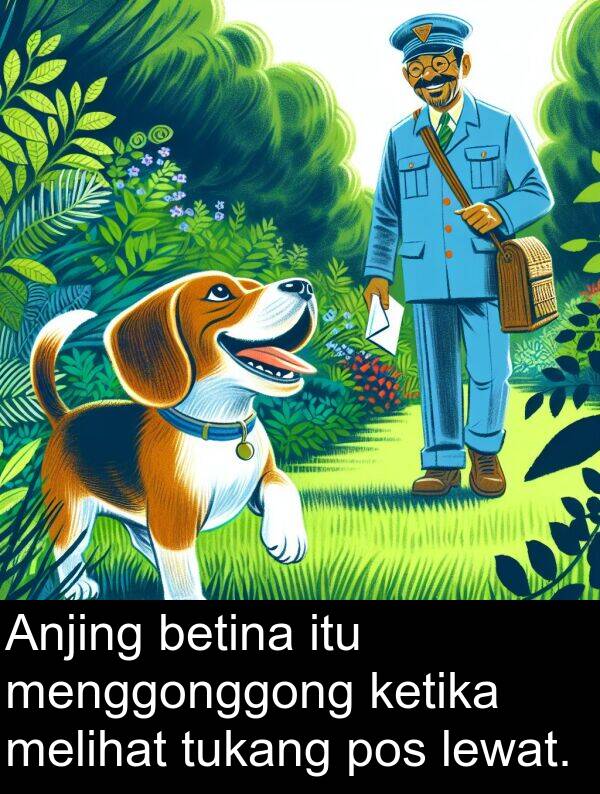 lewat: Anjing betina itu menggonggong ketika melihat tukang pos lewat.