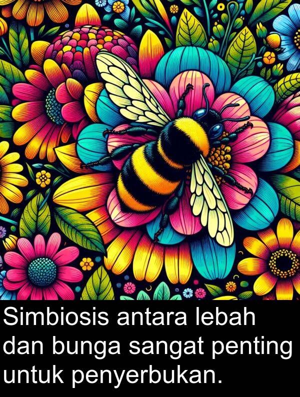 lebah: Simbiosis antara lebah dan bunga sangat penting untuk penyerbukan.