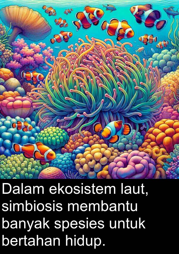 laut: Dalam ekosistem laut, simbiosis membantu banyak spesies untuk bertahan hidup.