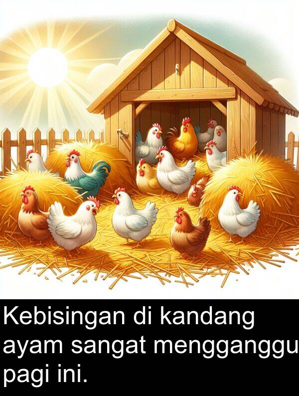 pagi: Kebisingan di kandang ayam sangat mengganggu pagi ini.