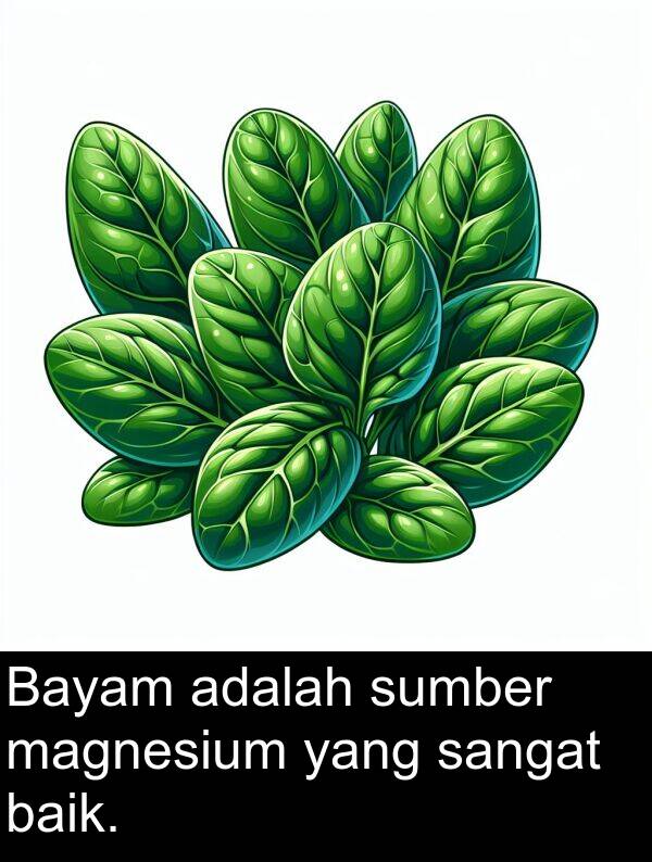 baik: Bayam adalah sumber magnesium yang sangat baik.