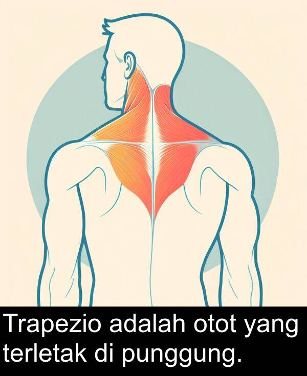 otot: Trapezio adalah otot yang terletak di punggung.