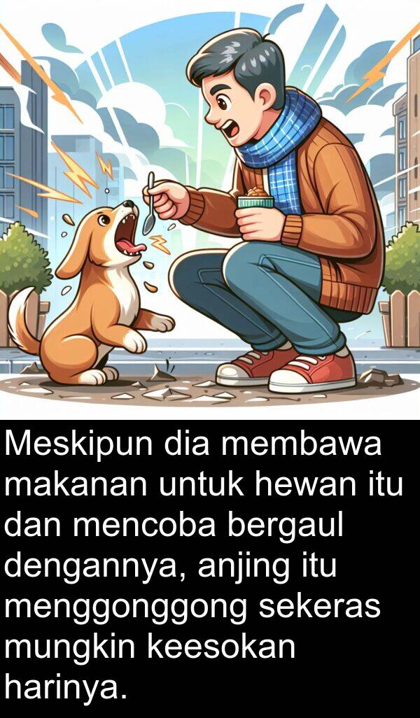 keesokan: Meskipun dia membawa makanan untuk hewan itu dan mencoba bergaul dengannya, anjing itu menggonggong sekeras mungkin keesokan harinya.