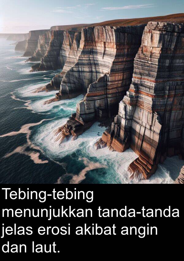 laut: Tebing-tebing menunjukkan tanda-tanda jelas erosi akibat angin dan laut.