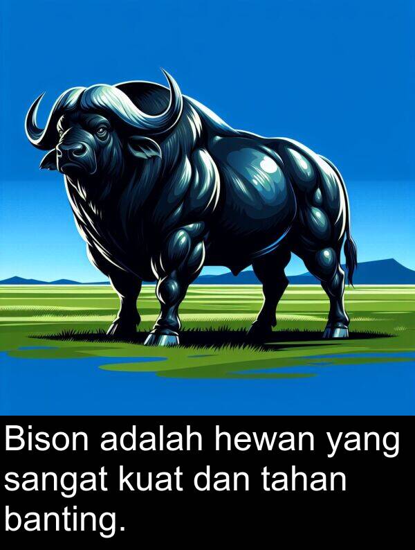 hewan: Bison adalah hewan yang sangat kuat dan tahan banting.