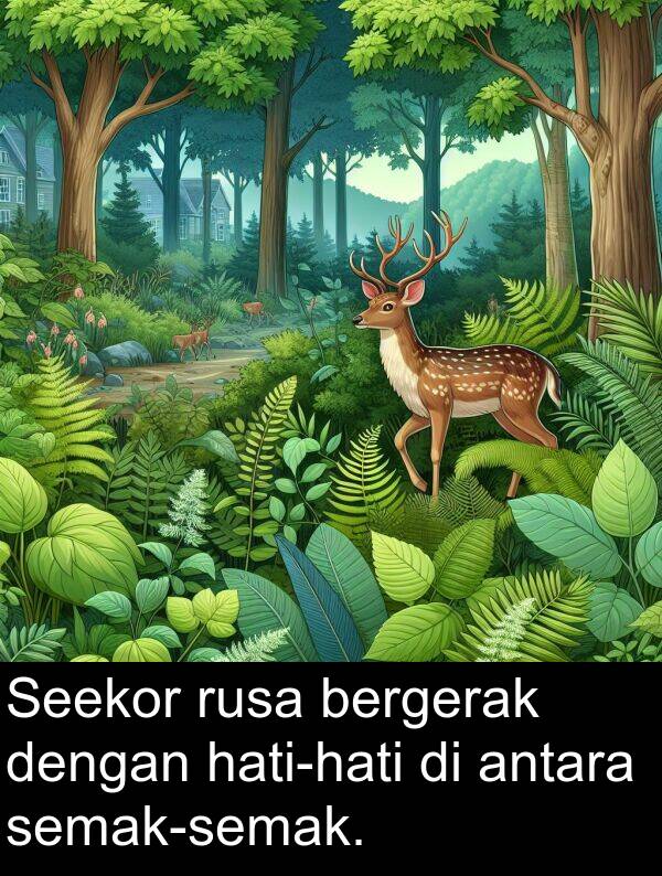 rusa: Seekor rusa bergerak dengan hati-hati di antara semak-semak.