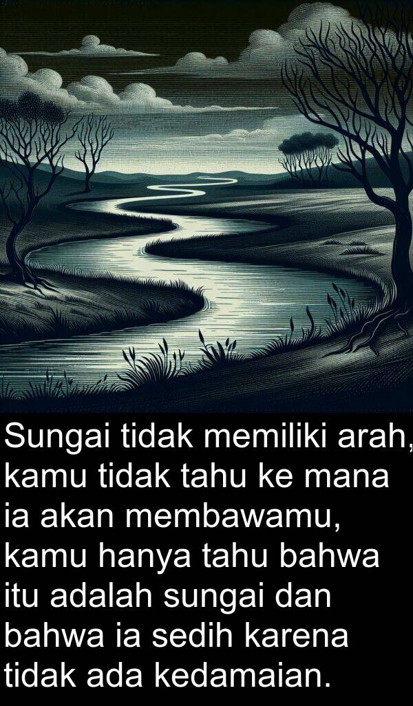 kedamaian: Sungai tidak memiliki arah, kamu tidak tahu ke mana ia akan membawamu, kamu hanya tahu bahwa itu adalah sungai dan bahwa ia sedih karena tidak ada kedamaian.