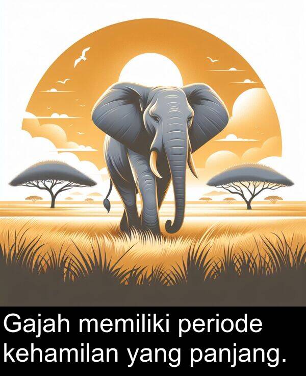 memiliki: Gajah memiliki periode kehamilan yang panjang.