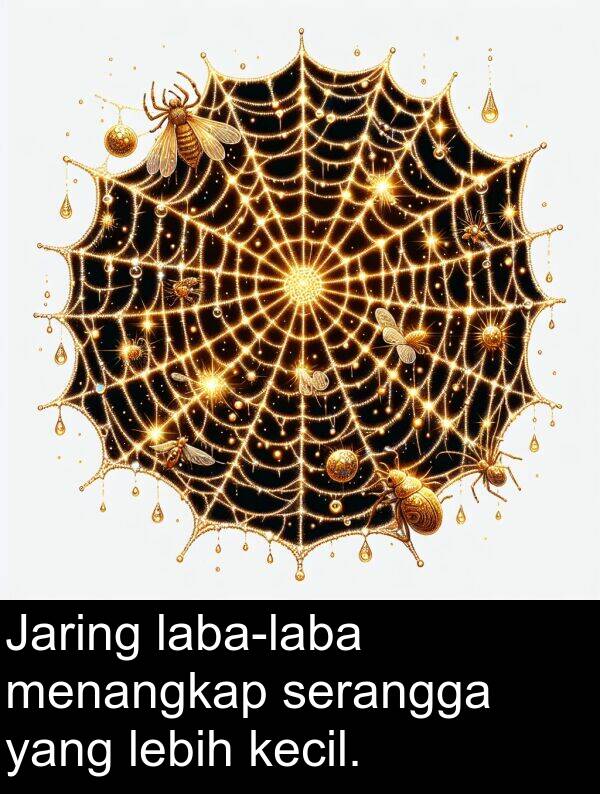 lebih: Jaring laba-laba menangkap serangga yang lebih kecil.