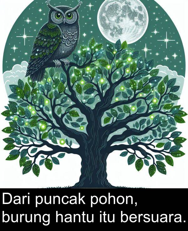 hantu: Dari puncak pohon, burung hantu itu bersuara.