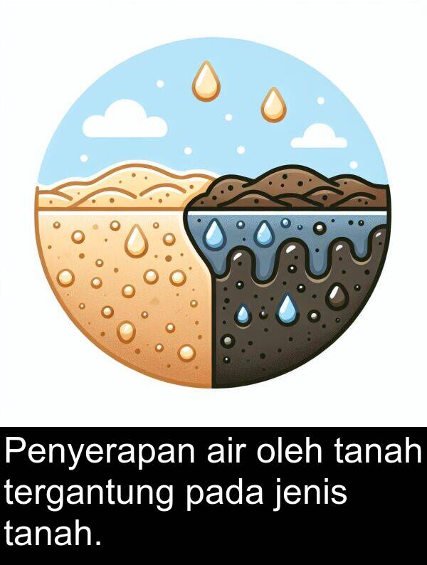 oleh: Penyerapan air oleh tanah tergantung pada jenis tanah.