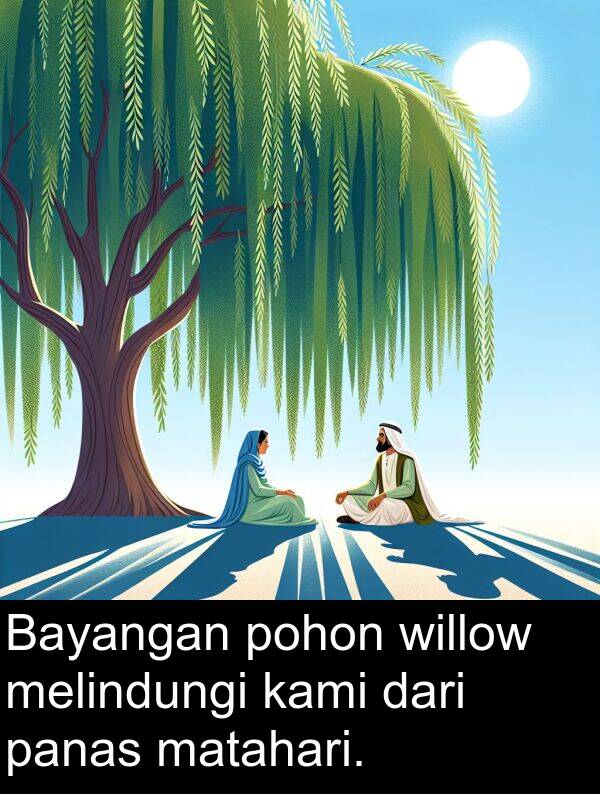 panas: Bayangan pohon willow melindungi kami dari panas matahari.