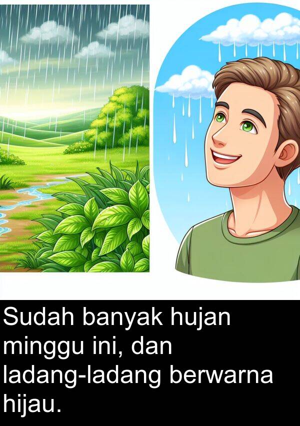 hujan: Sudah banyak hujan minggu ini, dan ladang-ladang berwarna hijau.