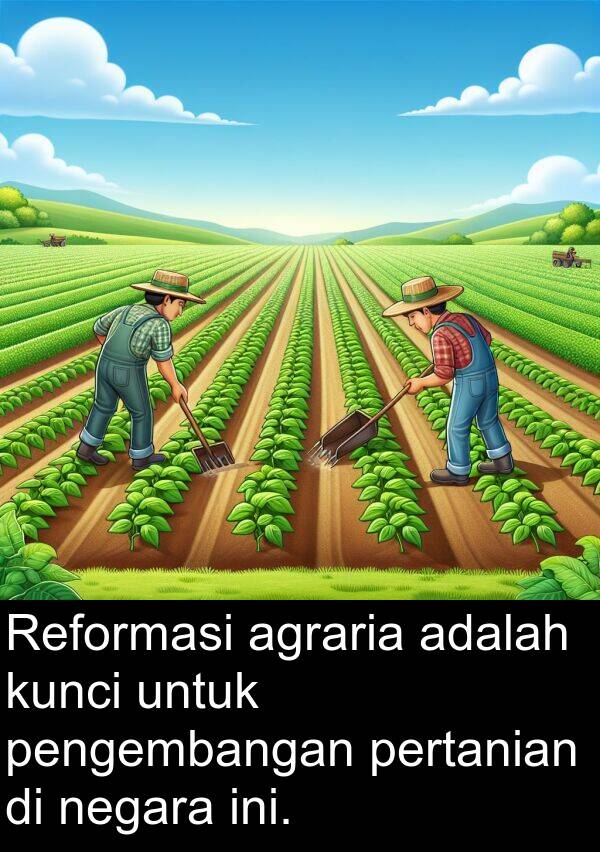 pengembangan: Reformasi agraria adalah kunci untuk pengembangan pertanian di negara ini.