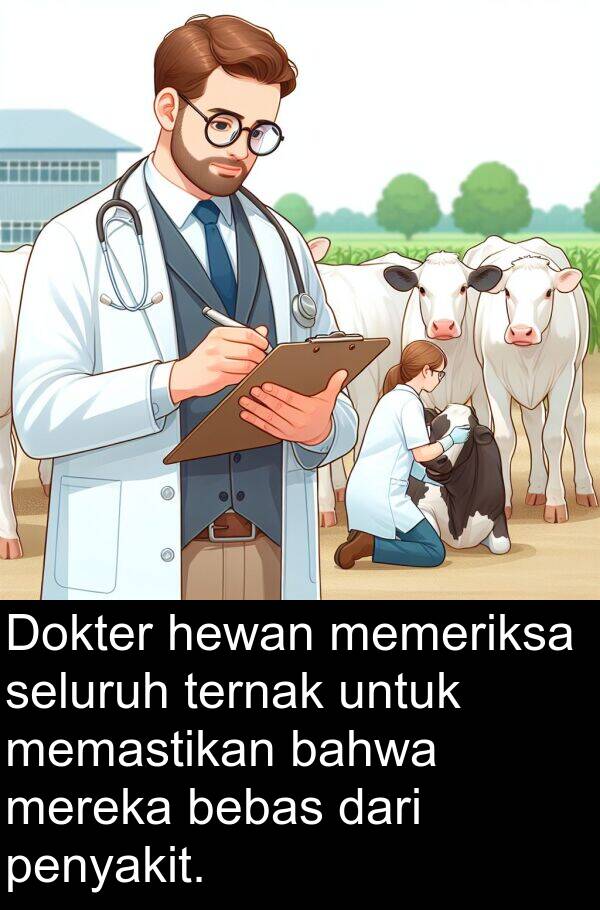 memastikan: Dokter hewan memeriksa seluruh ternak untuk memastikan bahwa mereka bebas dari penyakit.