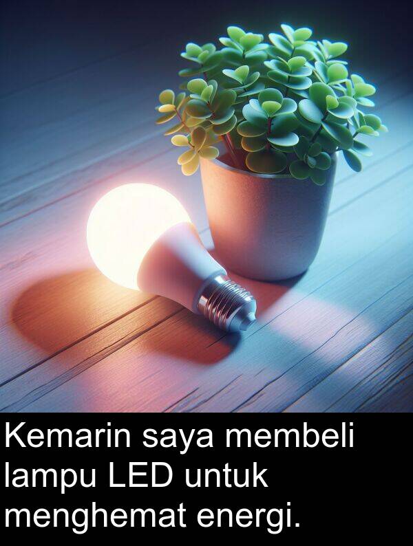 lampu: Kemarin saya membeli lampu LED untuk menghemat energi.