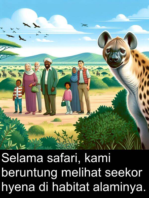 hyena: Selama safari, kami beruntung melihat seekor hyena di habitat alaminya.