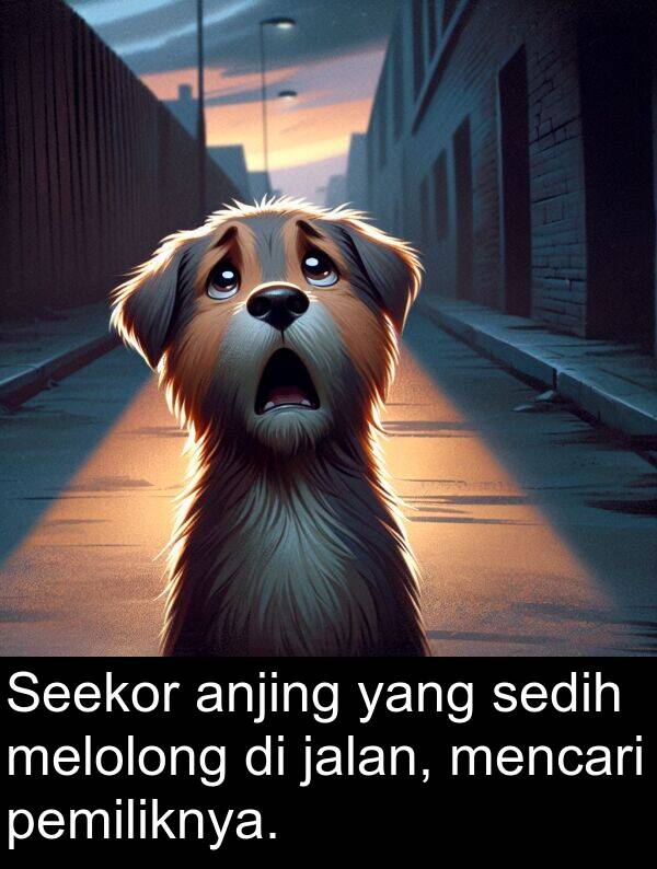 pemiliknya: Seekor anjing yang sedih melolong di jalan, mencari pemiliknya.