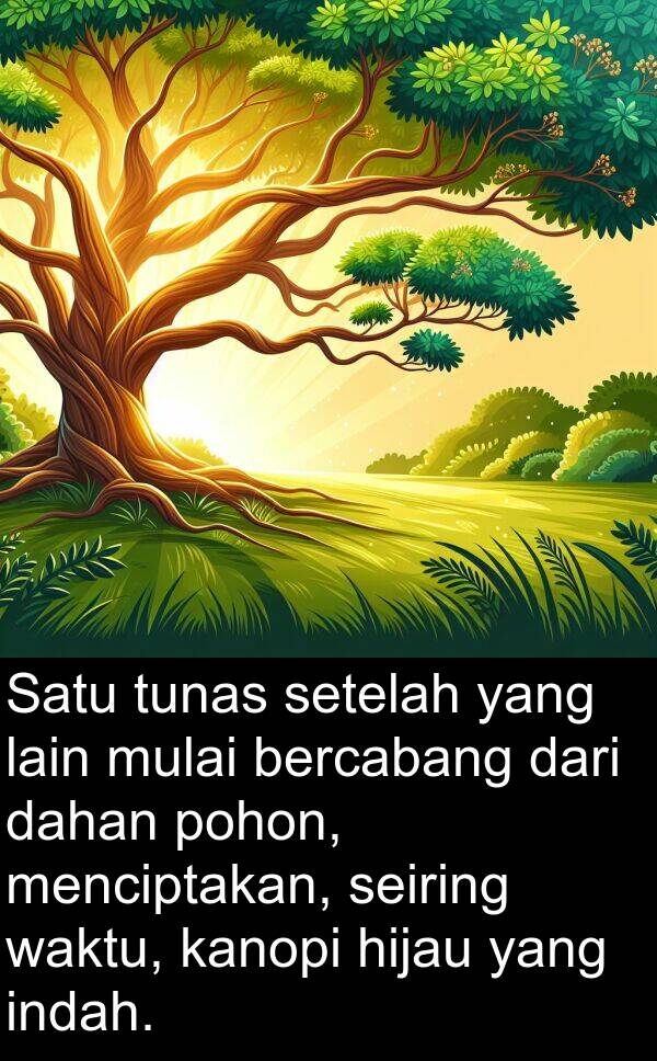 kanopi: Satu tunas setelah yang lain mulai bercabang dari dahan pohon, menciptakan, seiring waktu, kanopi hijau yang indah.