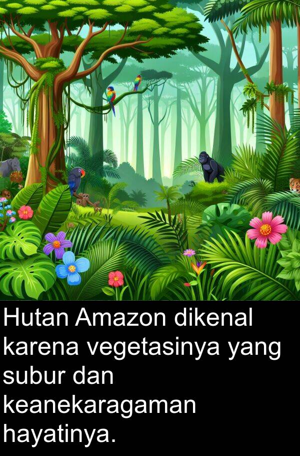 hayatinya: Hutan Amazon dikenal karena vegetasinya yang subur dan keanekaragaman hayatinya.