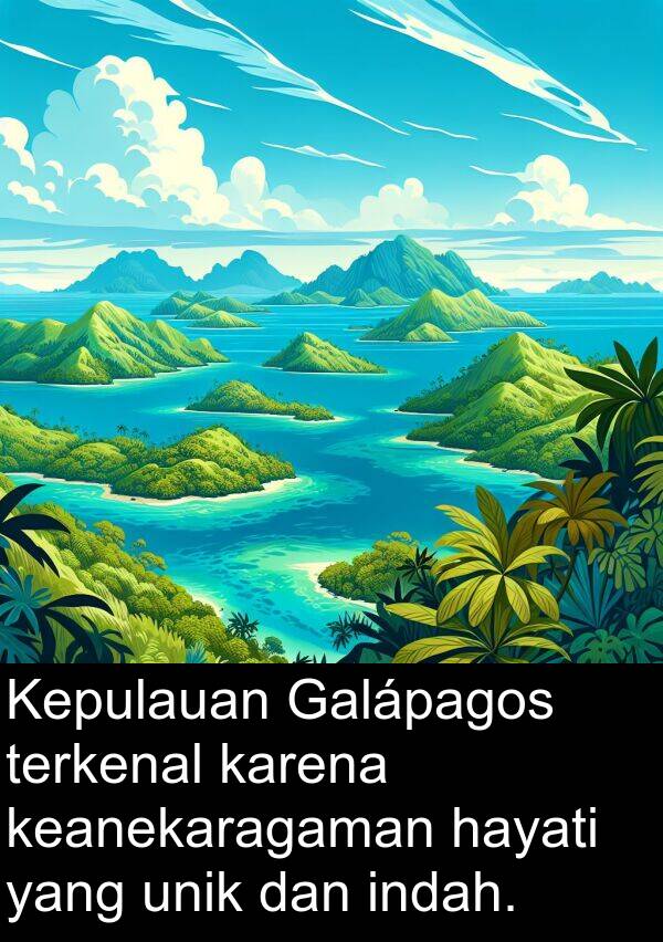 keanekaragaman: Kepulauan Galápagos terkenal karena keanekaragaman hayati yang unik dan indah.