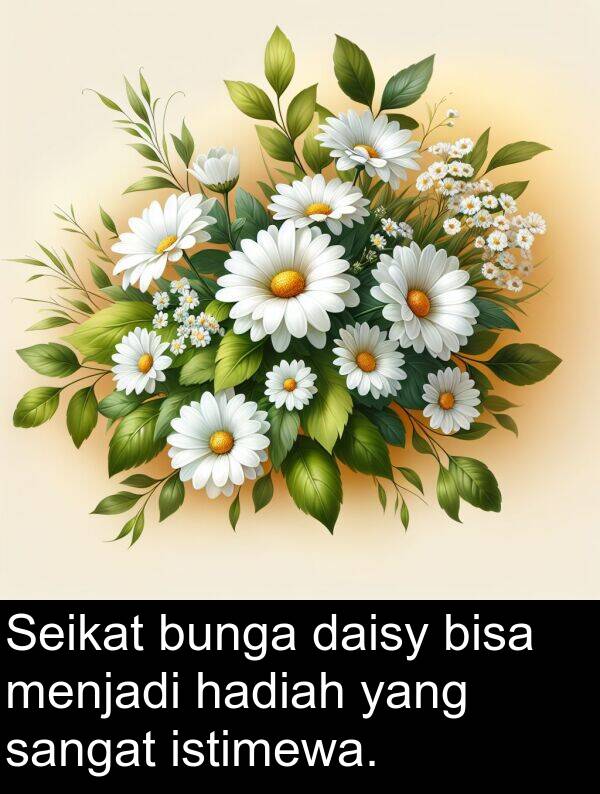 hadiah: Seikat bunga daisy bisa menjadi hadiah yang sangat istimewa.