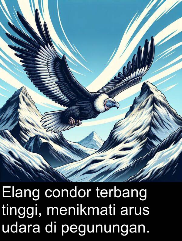 pegunungan: Elang condor terbang tinggi, menikmati arus udara di pegunungan.