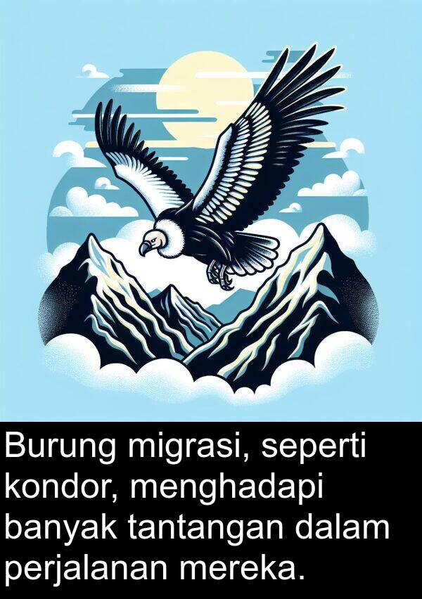 seperti: Burung migrasi, seperti kondor, menghadapi banyak tantangan dalam perjalanan mereka.