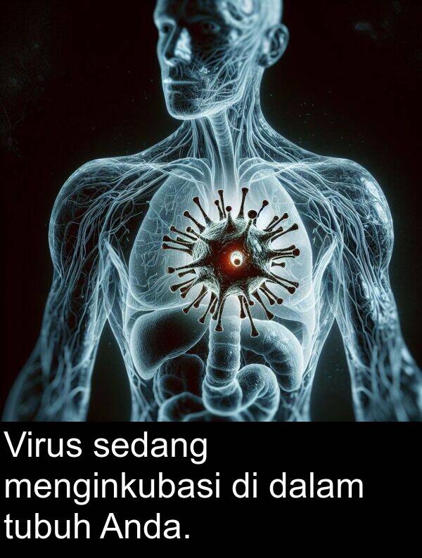 dalam: Virus sedang menginkubasi di dalam tubuh Anda.