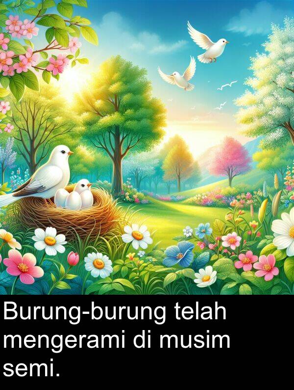 semi: Burung-burung telah mengerami di musim semi.