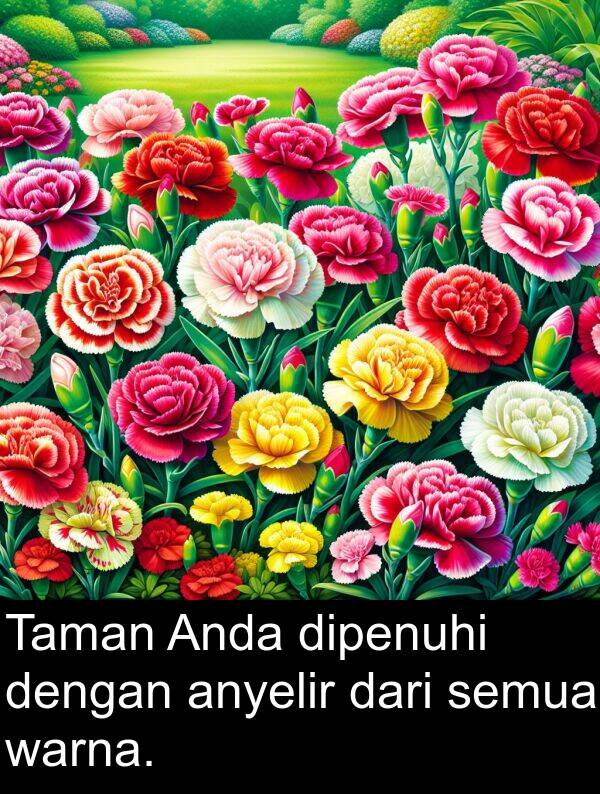 warna: Taman Anda dipenuhi dengan anyelir dari semua warna.