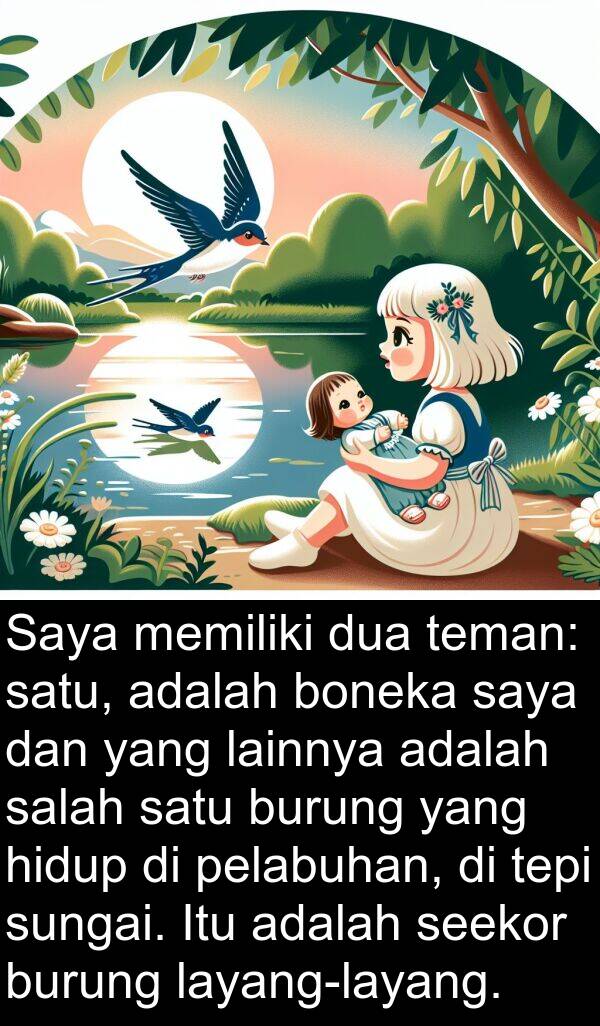 pelabuhan: Saya memiliki dua teman: satu, adalah boneka saya dan yang lainnya adalah salah satu burung yang hidup di pelabuhan, di tepi sungai. Itu adalah seekor burung layang-layang.