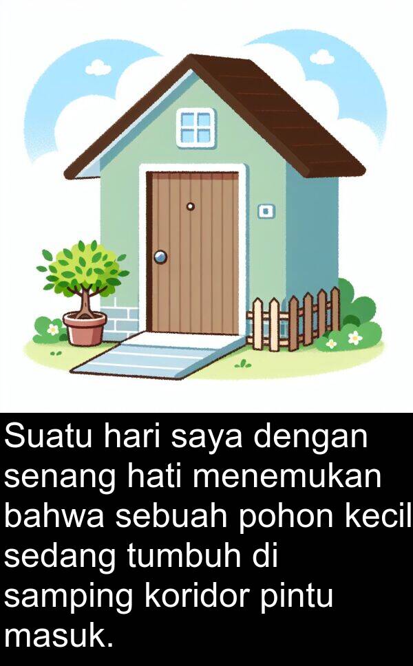 hati: Suatu hari saya dengan senang hati menemukan bahwa sebuah pohon kecil sedang tumbuh di samping koridor pintu masuk.