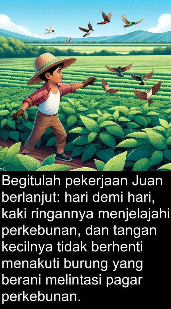 pagar: Begitulah pekerjaan Juan berlanjut: hari demi hari, kaki ringannya menjelajahi perkebunan, dan tangan kecilnya tidak berhenti menakuti burung yang berani melintasi pagar perkebunan.