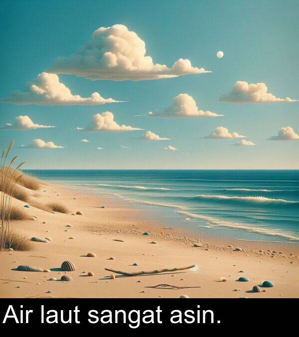 laut: Air laut sangat asin.