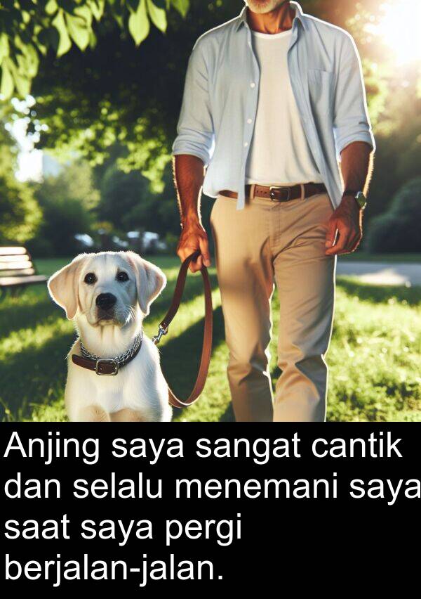 cantik: Anjing saya sangat cantik dan selalu menemani saya saat saya pergi berjalan-jalan.