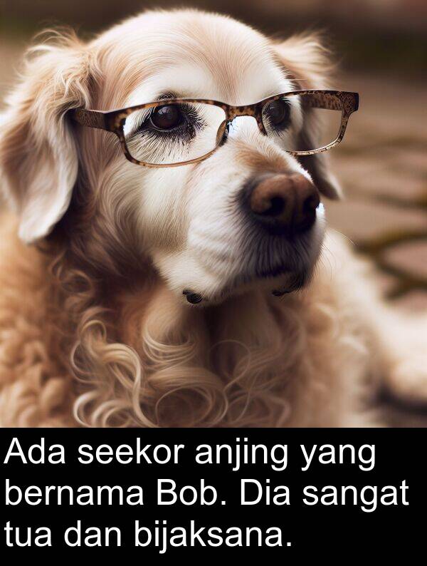 seekor: Ada seekor anjing yang bernama Bob. Dia sangat tua dan bijaksana.