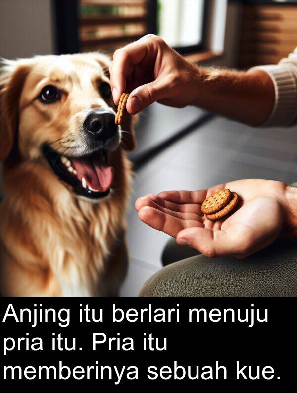 memberinya: Anjing itu berlari menuju pria itu. Pria itu memberinya sebuah kue.